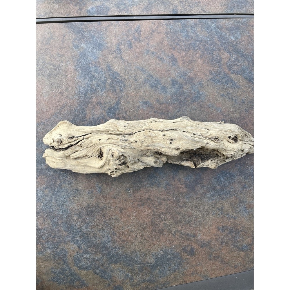 Natural Driftwood for Plants Terrarium Taxidermy Art Projects